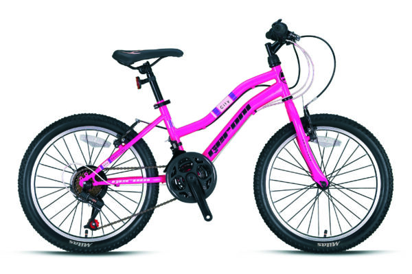 Swan  ATB  D  V brake  purper  21 sp