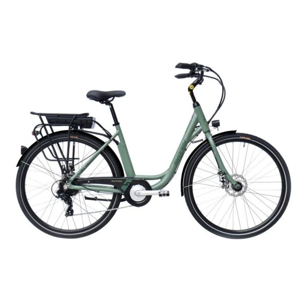E- Vision Sydney D 46 cm groen 7 sp achterwielmotor