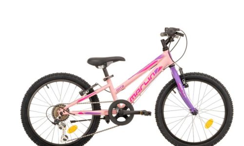 MTB  Cedric geel zwart 6 speed
