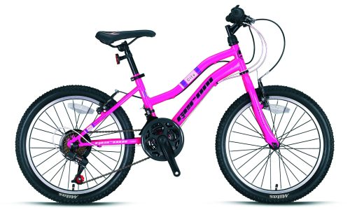 Swan  ATB  D  V brake  purper  21 sp