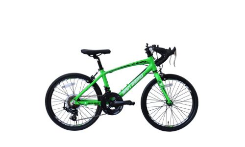 Elite San Remo  Race H 30 cm 14 sp groen