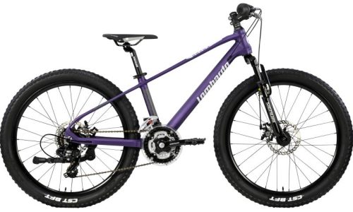 Lombardo Brera H 33 cm purper  21 sp Mdisc