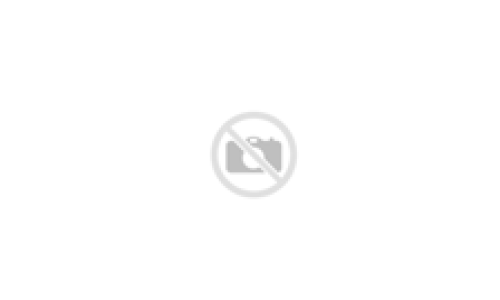 Lombardo Passion 18 inch mint groen vrijloop + 2 handrem